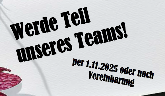 Werde Teil unseres Teams